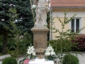DSCN0264