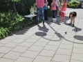 farni_den (2)