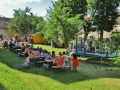 farni_den (5)